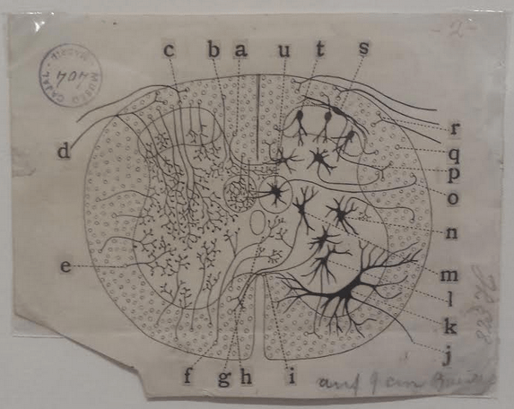 Screen Shot 2018-02-22 at 10.21.03 PM